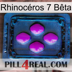 Rhinocéros 7 Bêta 04